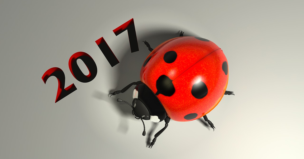 luck lucky ladybug 2017 free photo