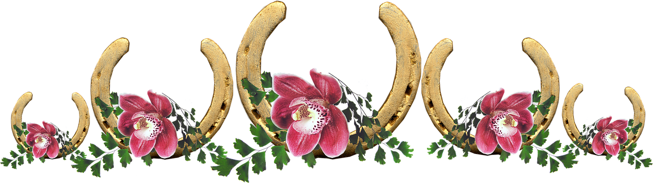 lucky  horse shoes  orchids free photo