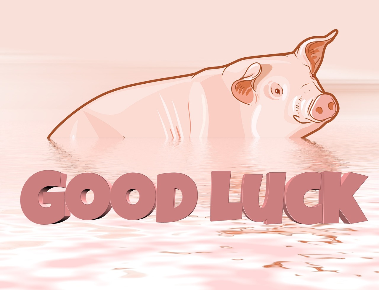 lucky pig luck greeting free photo