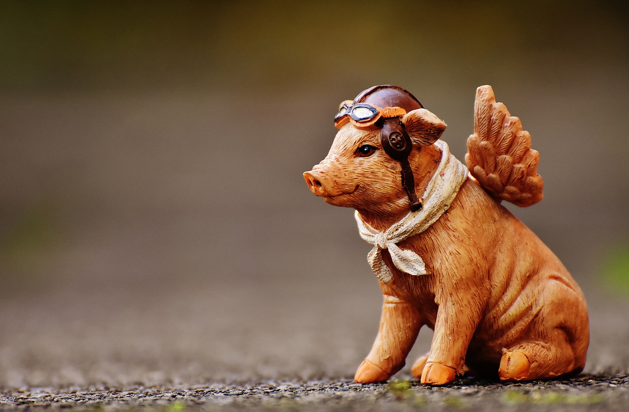 lucky pig guardian angel figure free photo