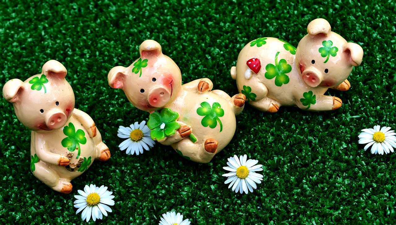 lucky pig figures cute free photo