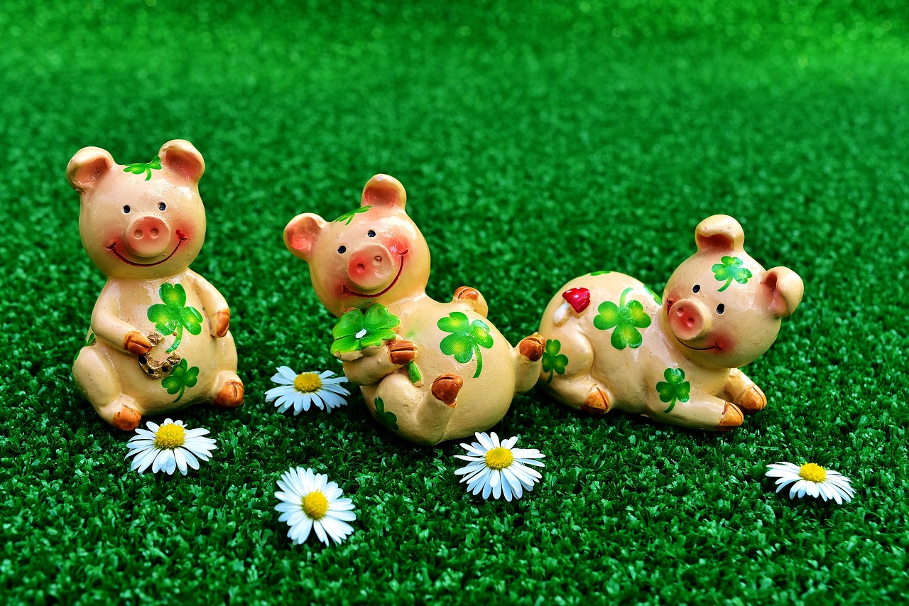 lucky pig figures cute free photo