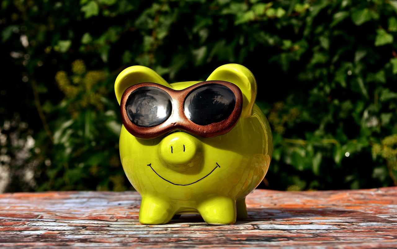 lucky pig cool sunglasses free photo