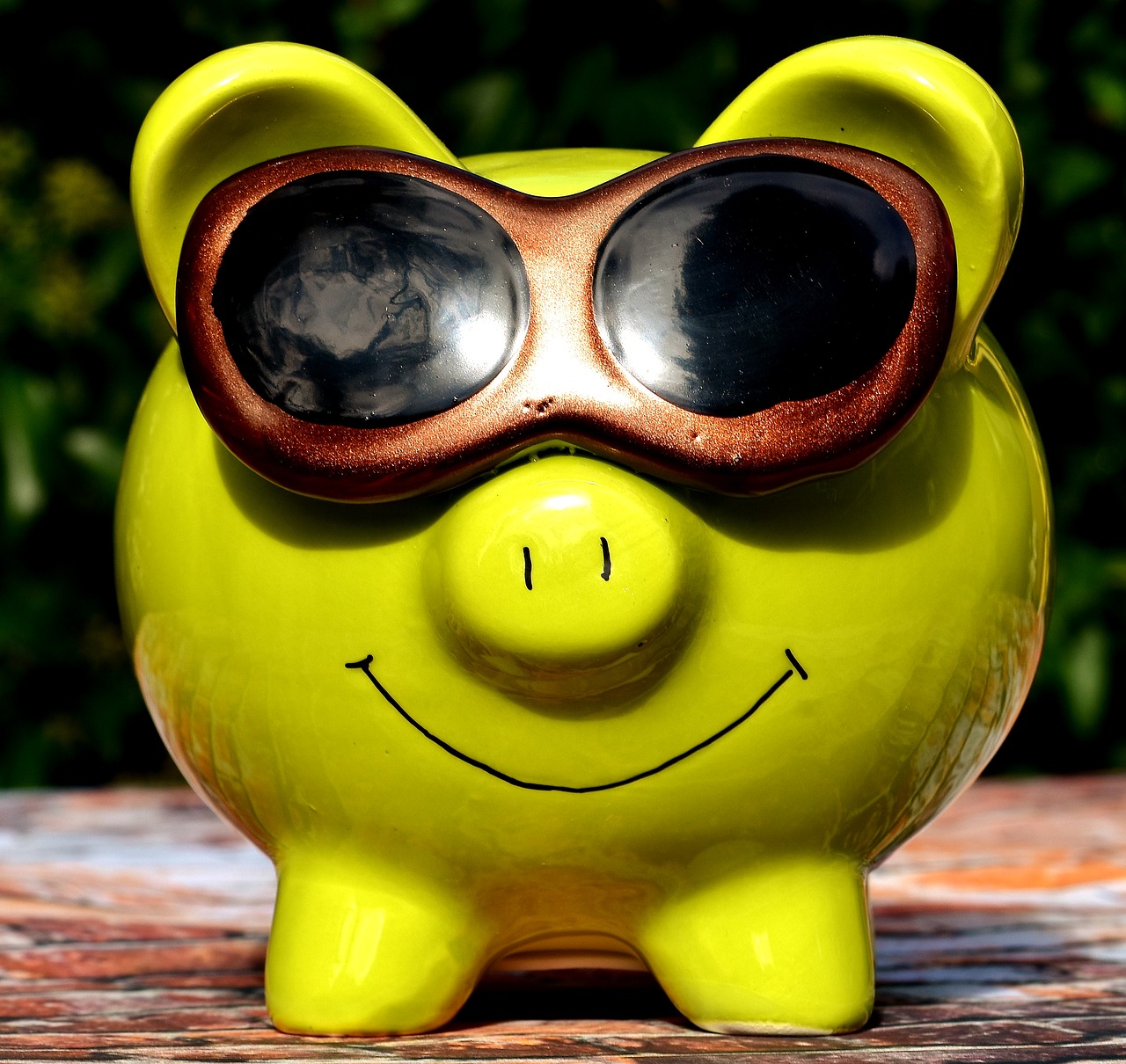 lucky pig cool sunglasses free photo