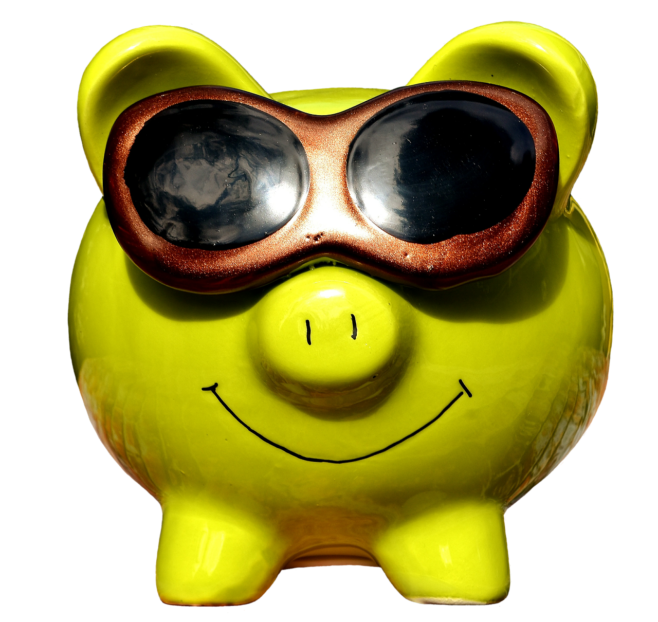 lucky pig cool sunglasses free photo