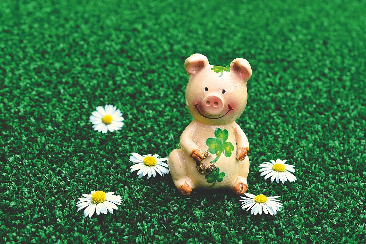 lucky pig  figures  cute free photo