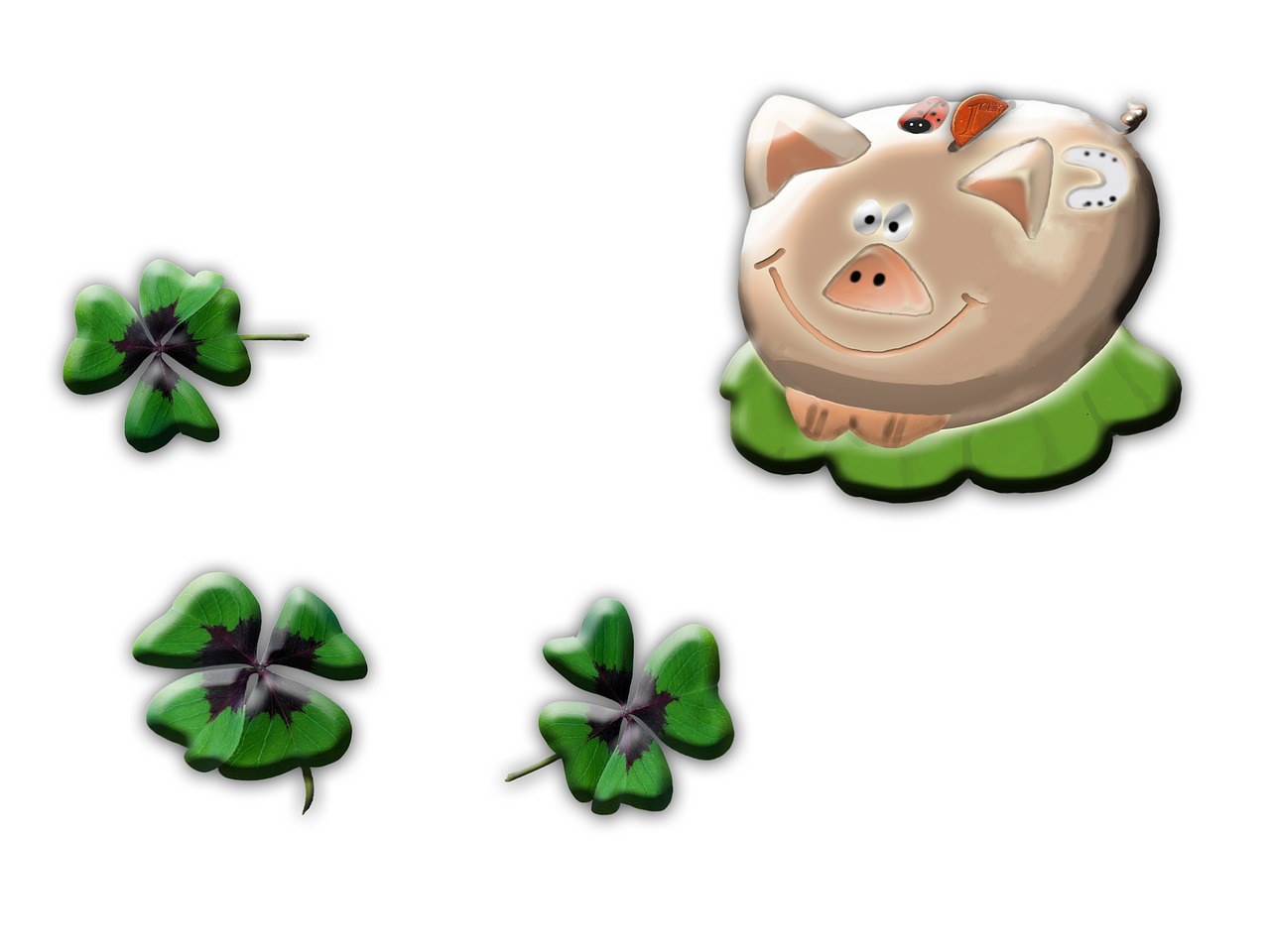 lucky pig four leaf clover new year's day free photo