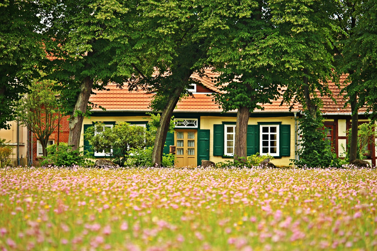 ludwigslust-parchim fachwerkhaus flowers free photo