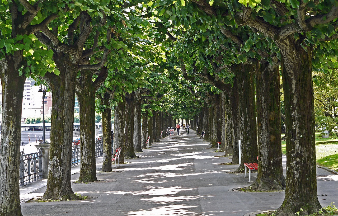 lugano lake promenade avenue free photo