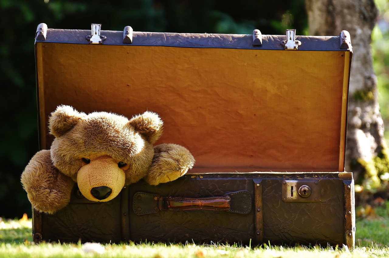 luggage antique teddy free photo