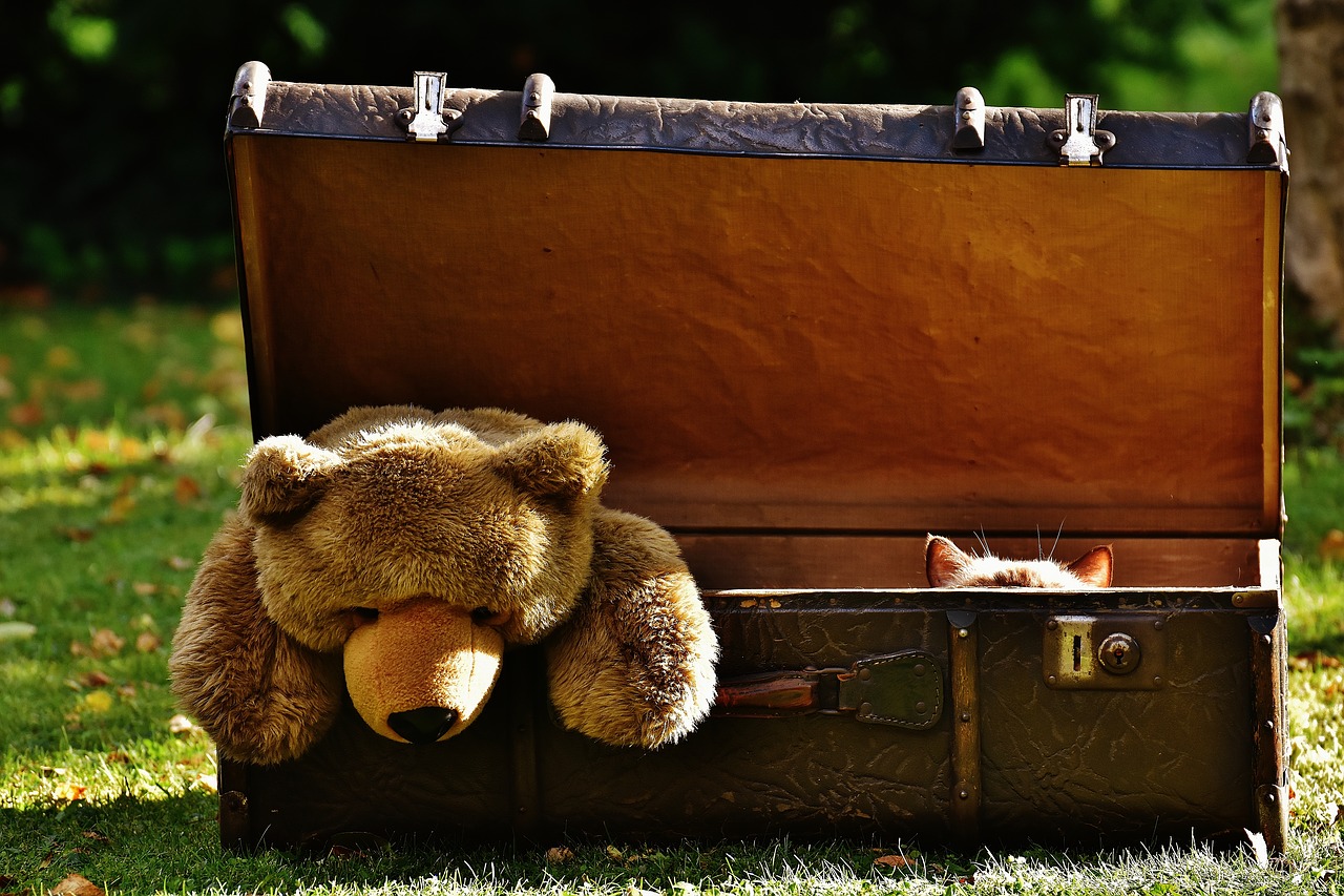 luggage antique teddy free photo