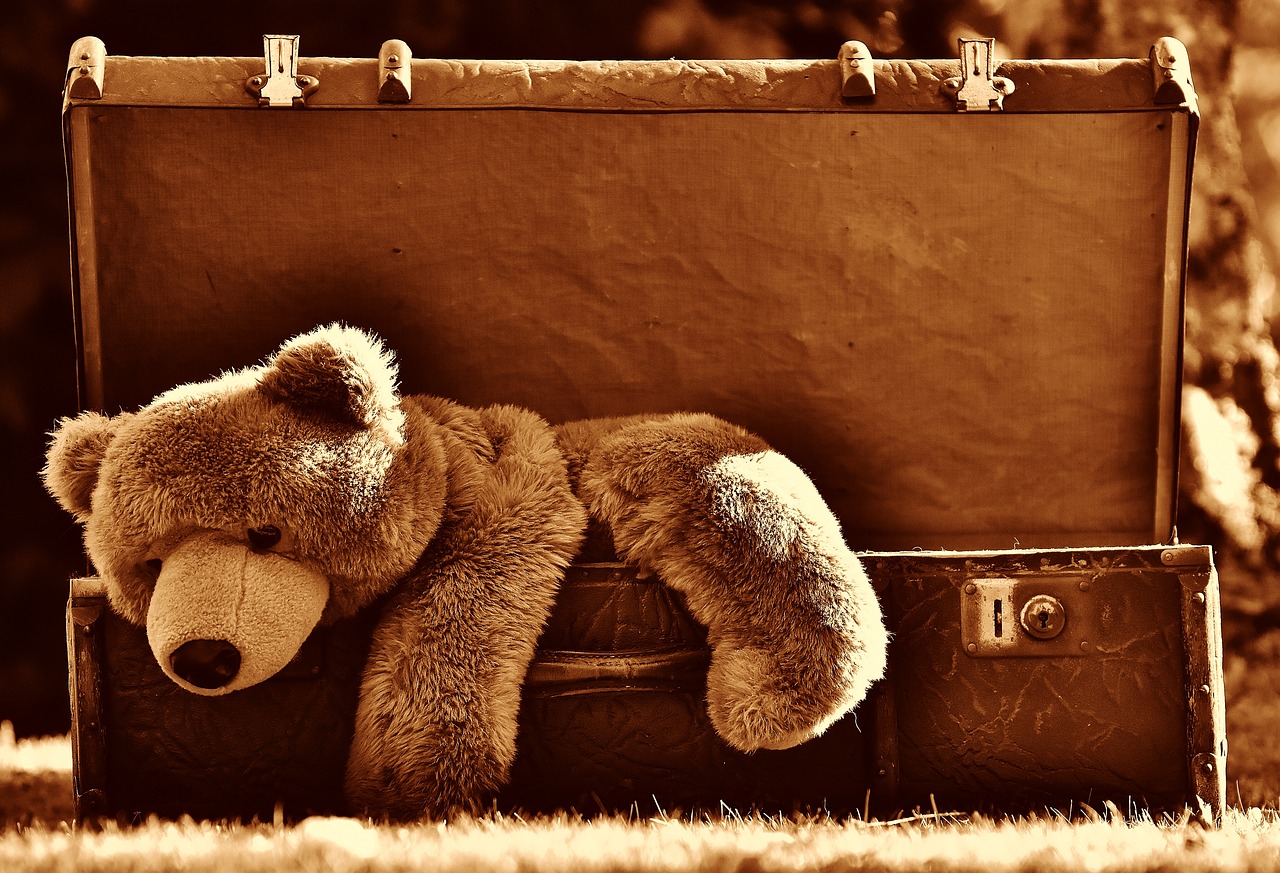 luggage antique teddy free photo