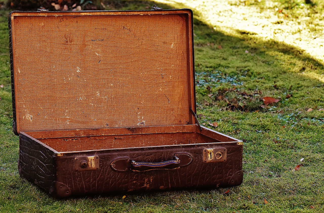 luggage antique leather free photo