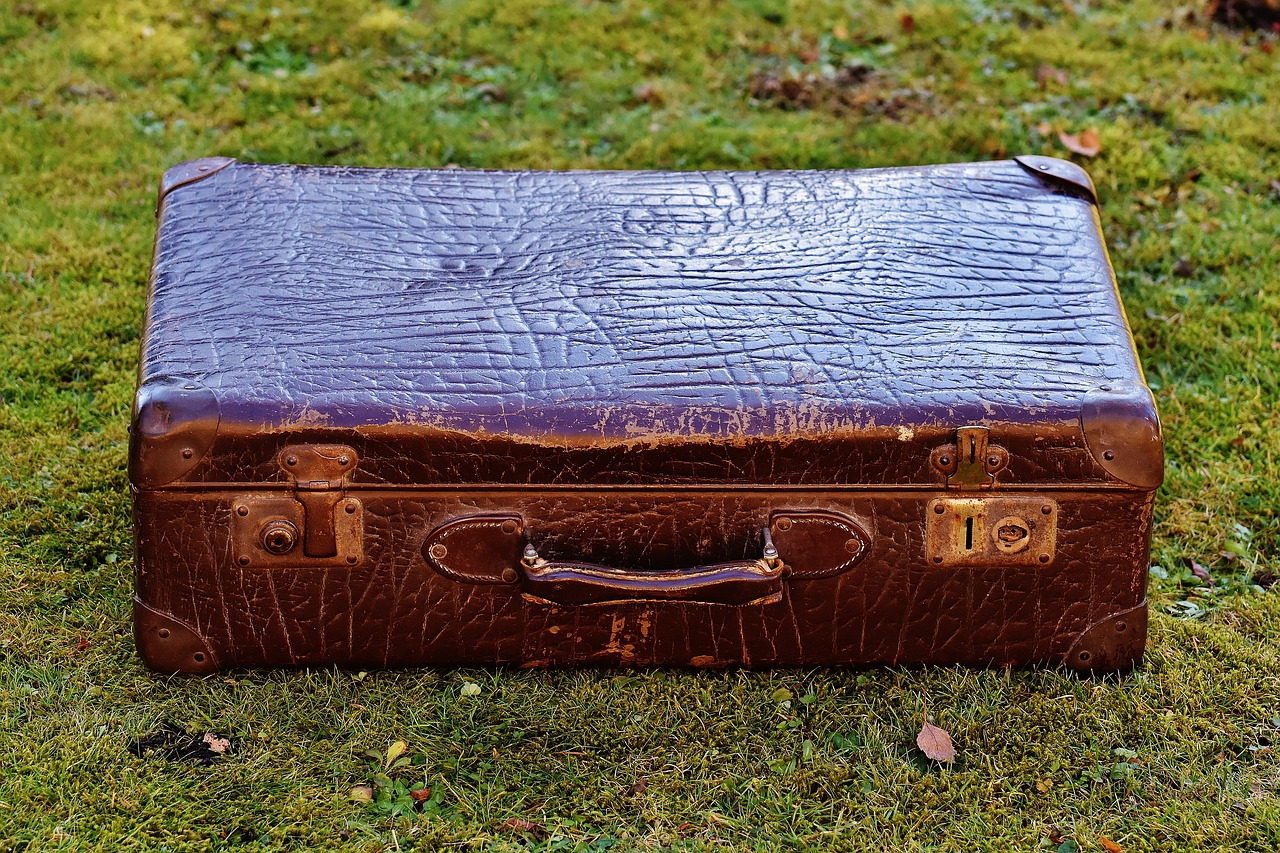 luggage antique leather free photo