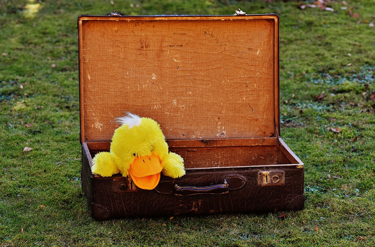 luggage antique duck free photo