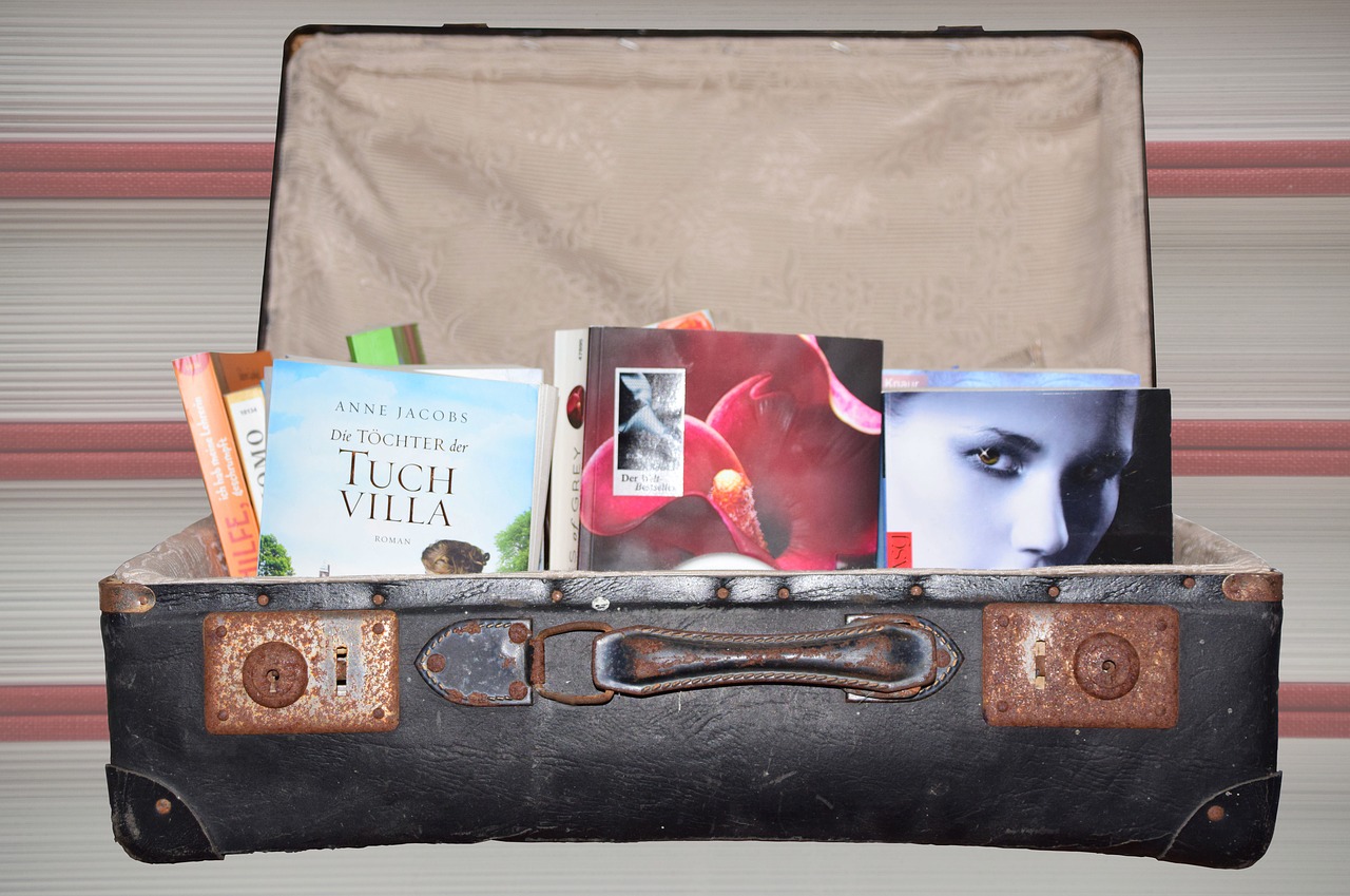 luggage books novels free photo