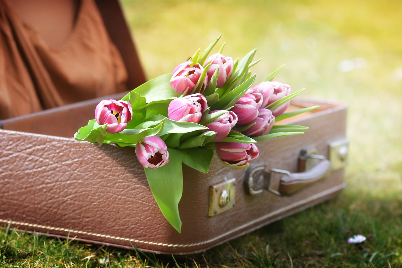 luggage tulips spring free photo