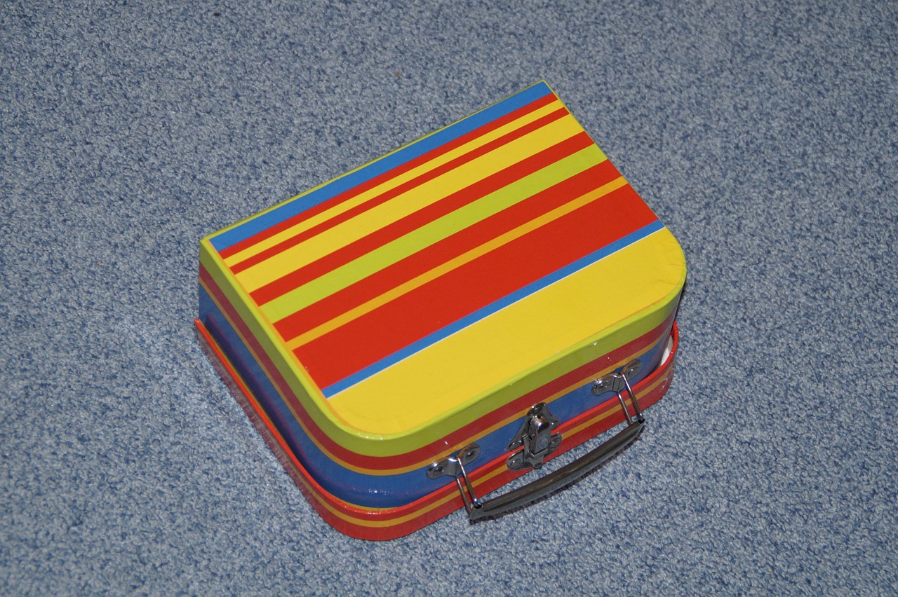 luggage kids suitcase briefcase free photo