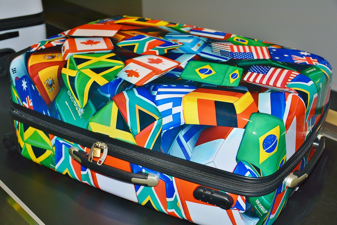 luggage colorful holiday free photo