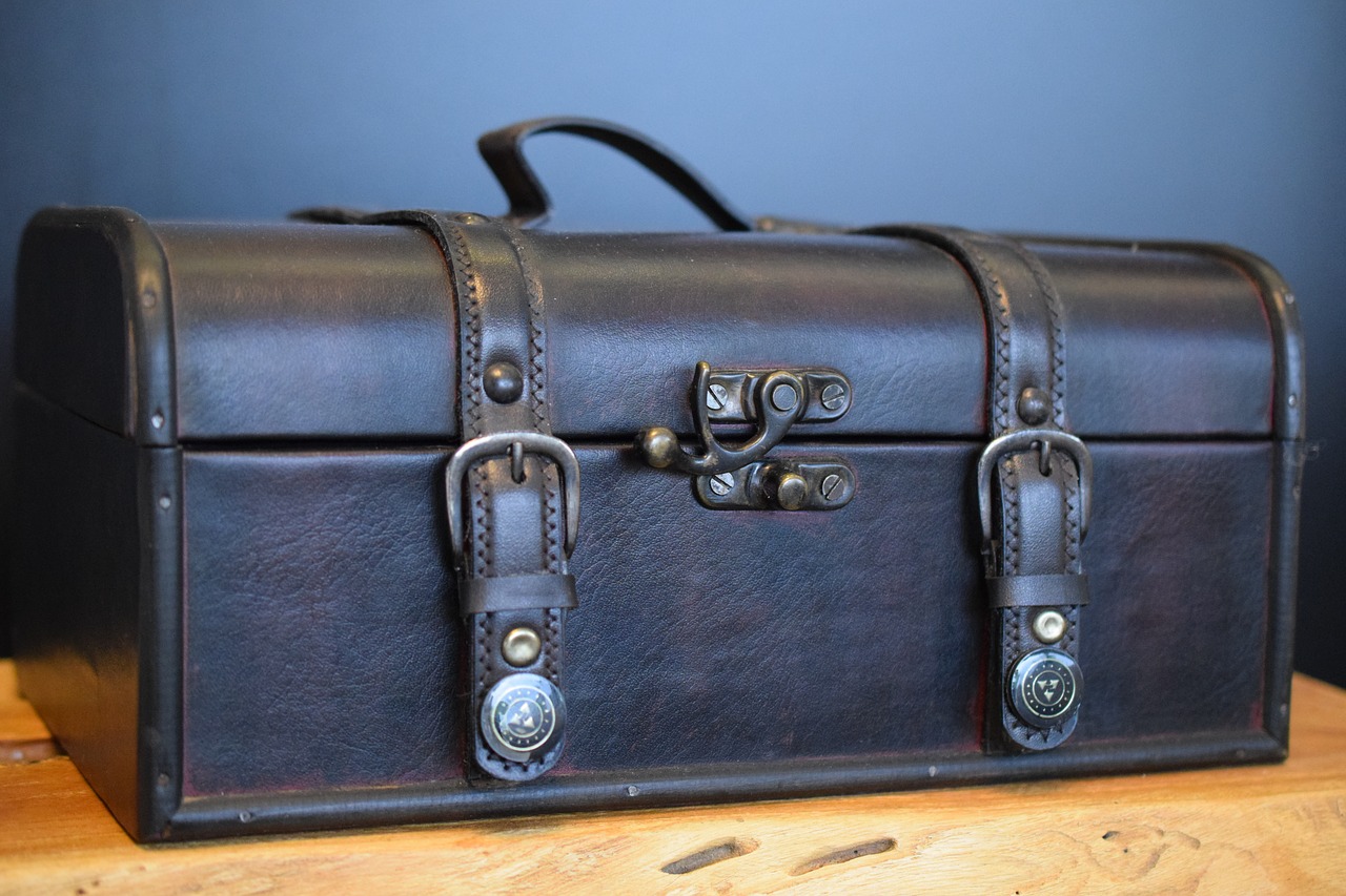 luggage leather leather suitcase free photo