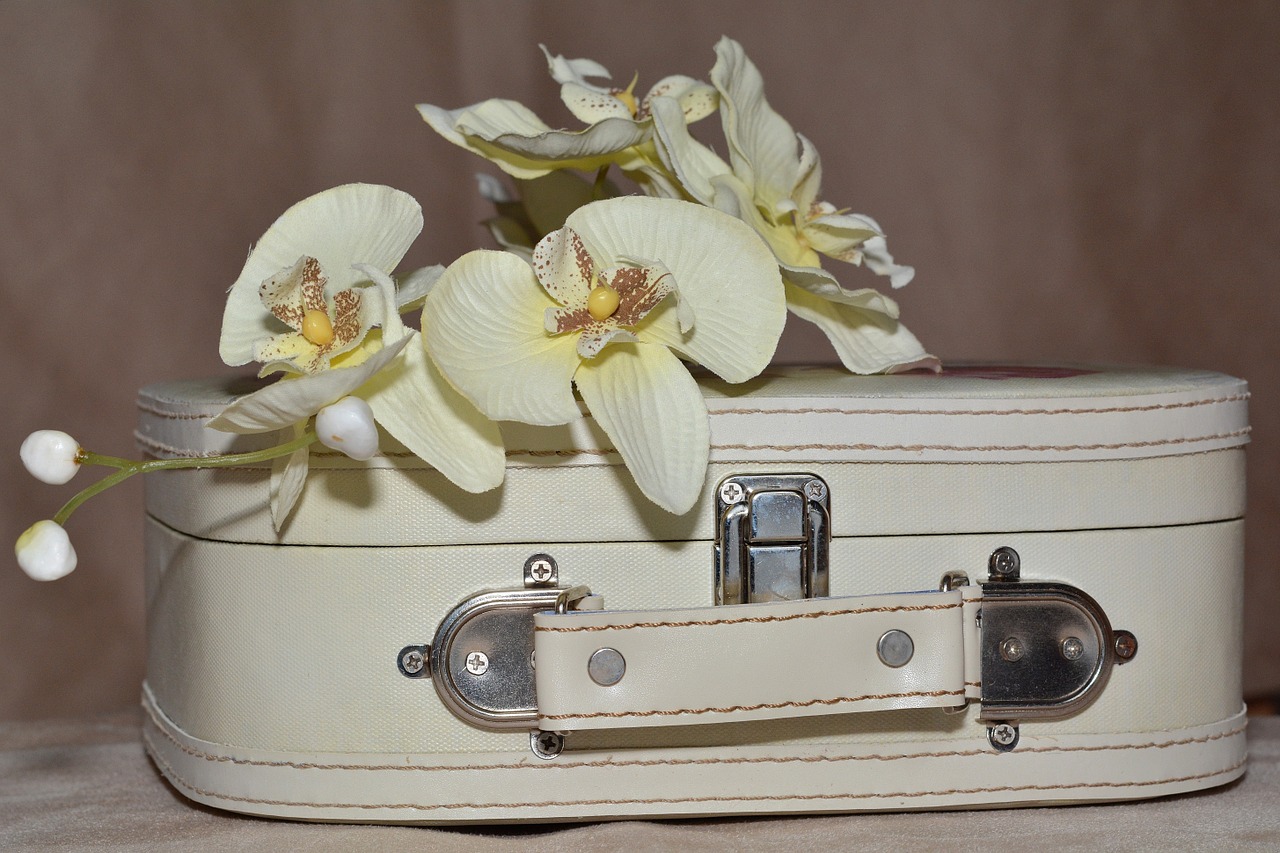 luggage orchid flowers free photo