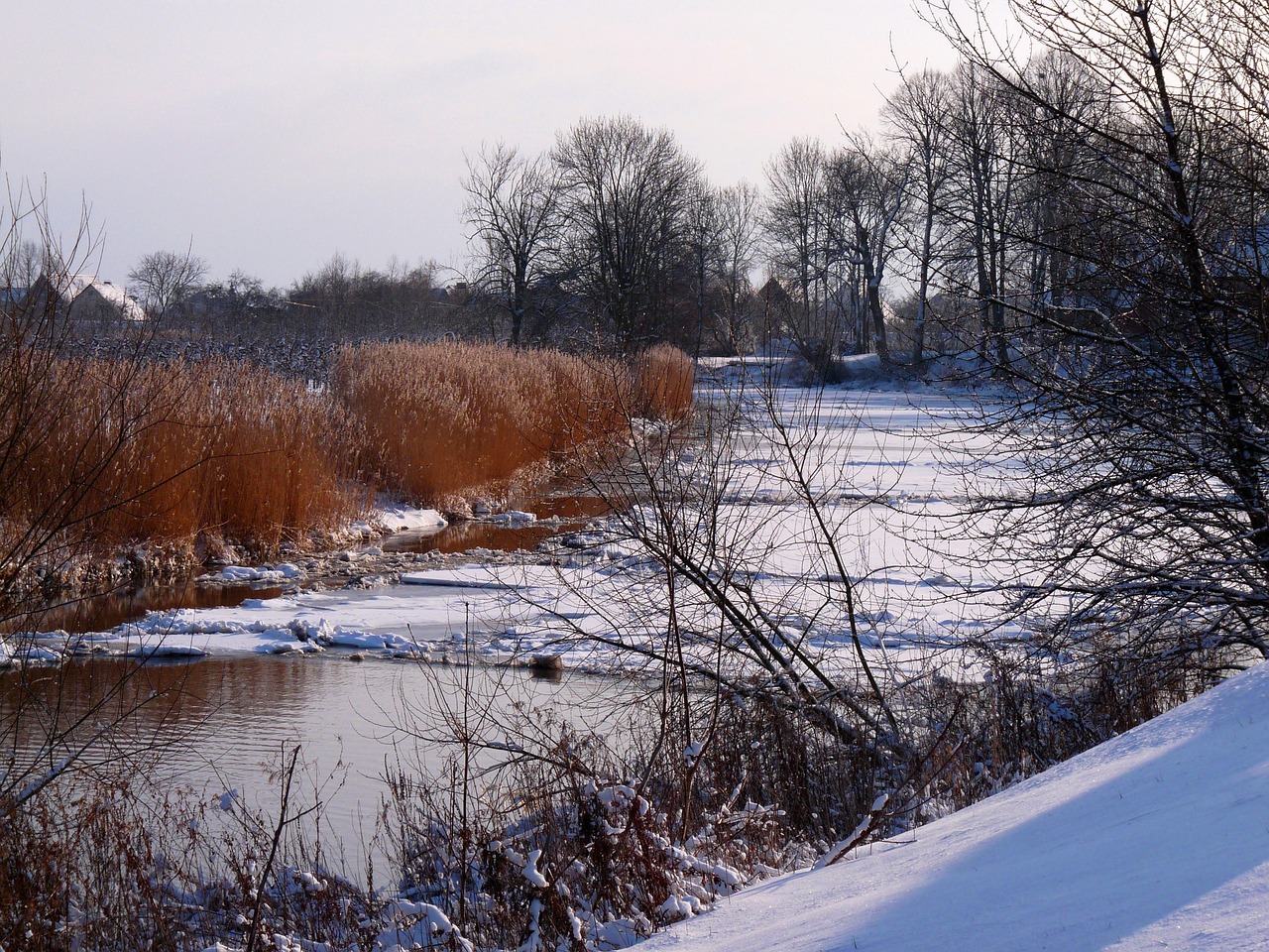 lühe old country winter free photo