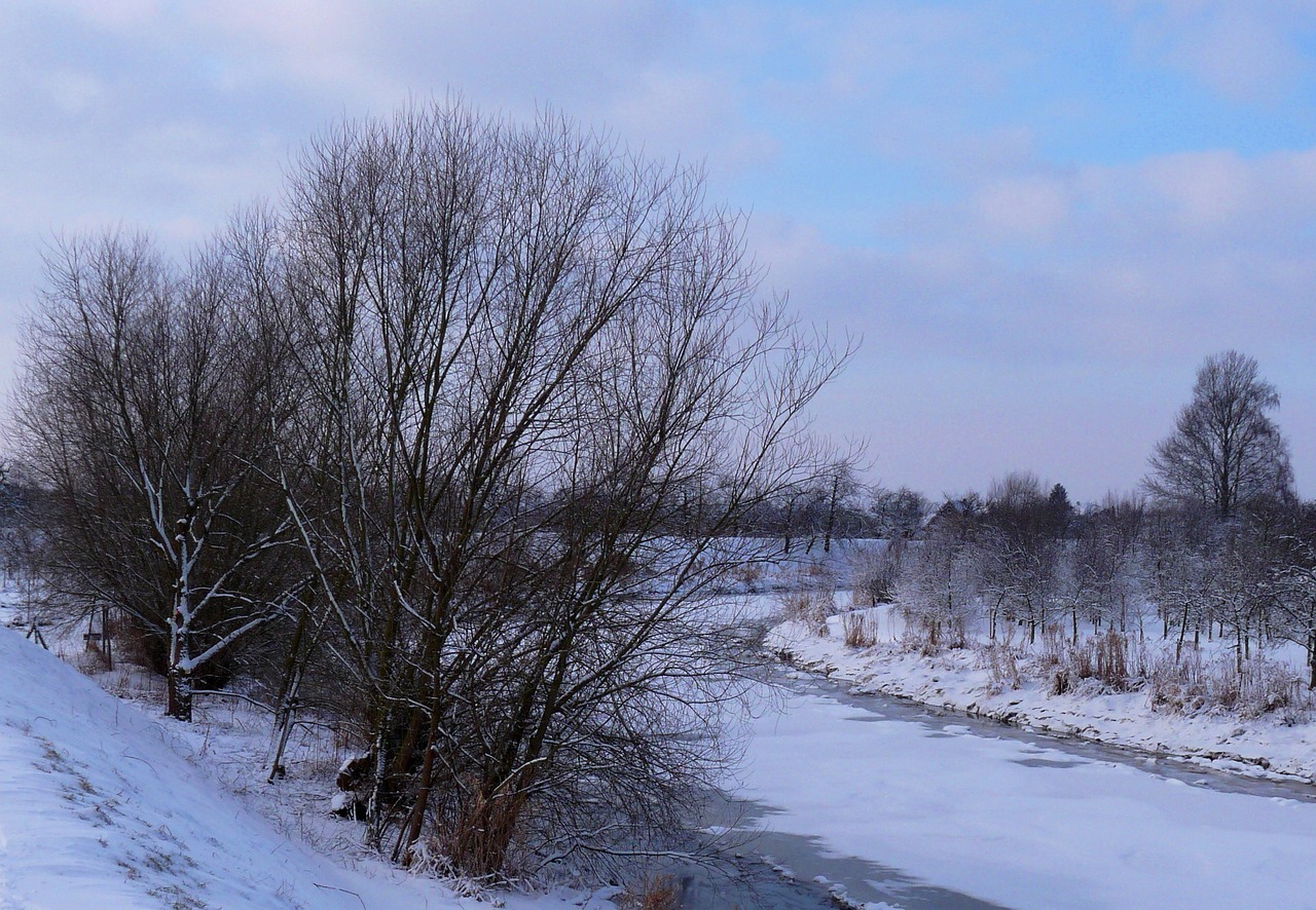 lühe winter mood free photo