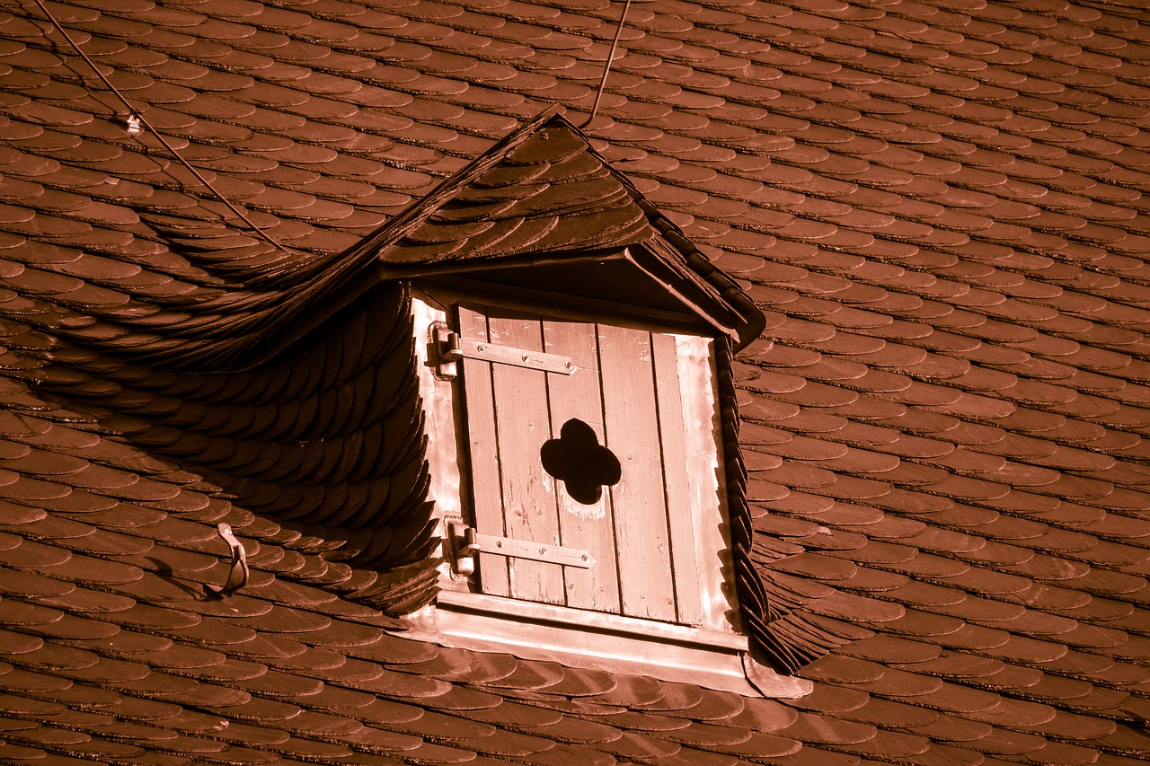 luke  dormer  roof hatch free photo