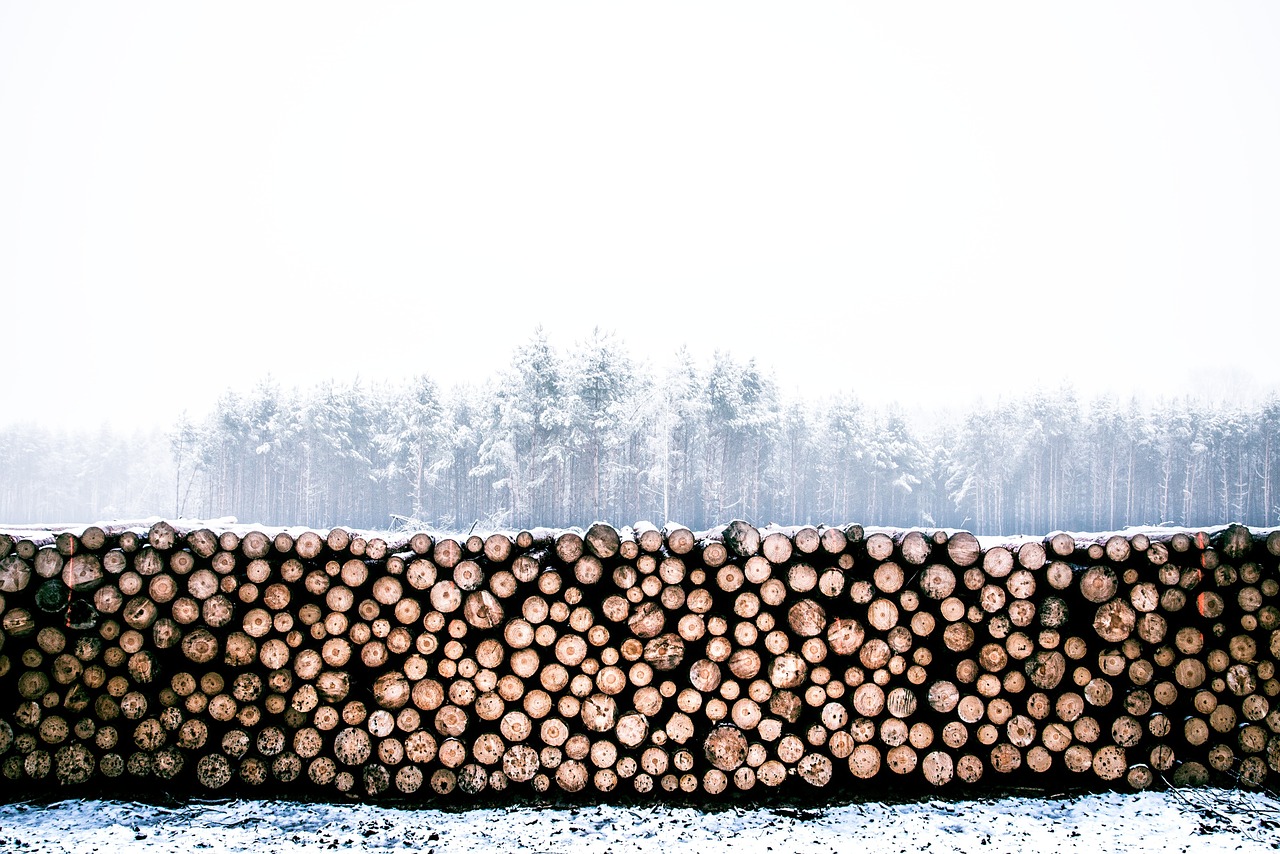 lumber winter wood free photo