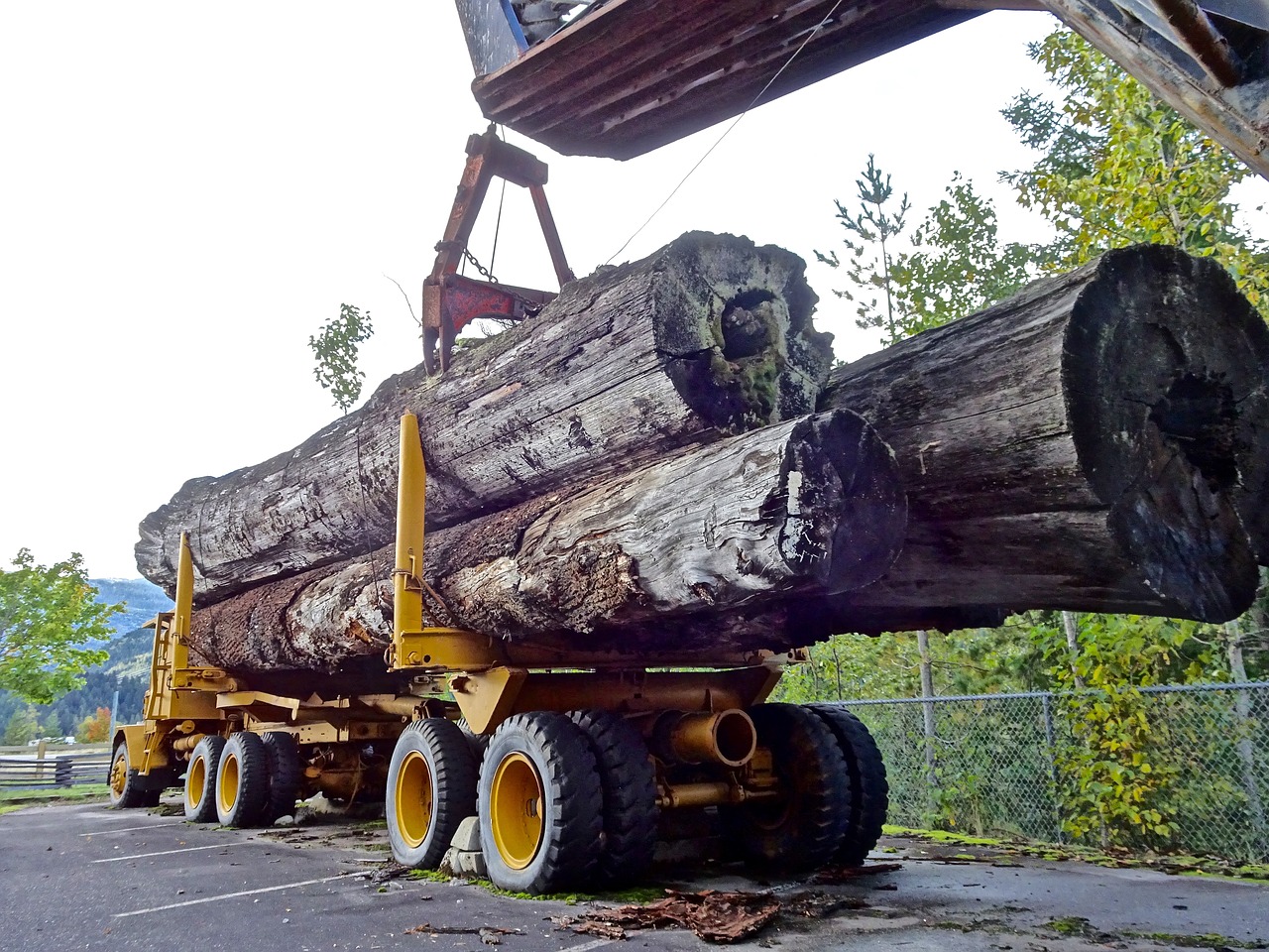 lumber timber truck logging free photo