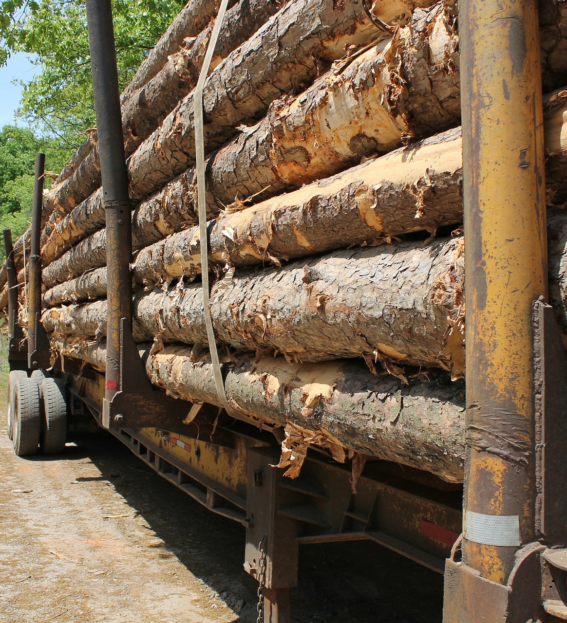 lumber trailer wood free photo