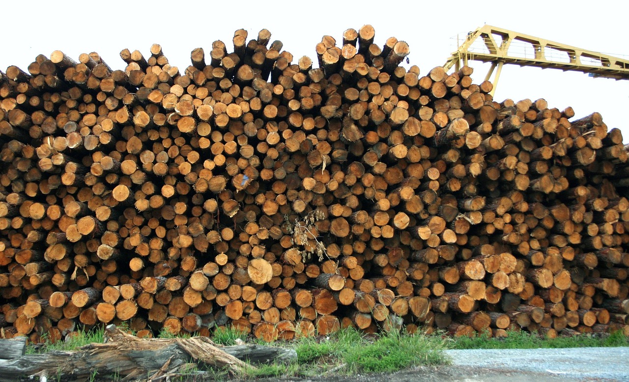 lumber logs wood free photo