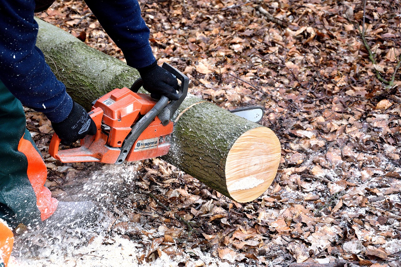 lumberjack chainsaw woodworks free photo
