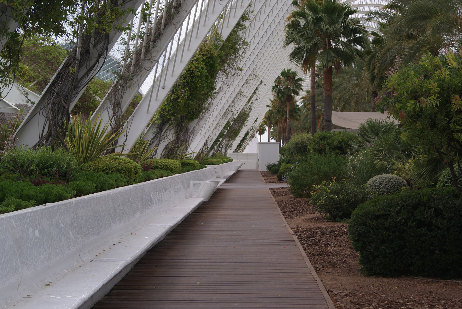 city of arts and sciences building tourism free photo