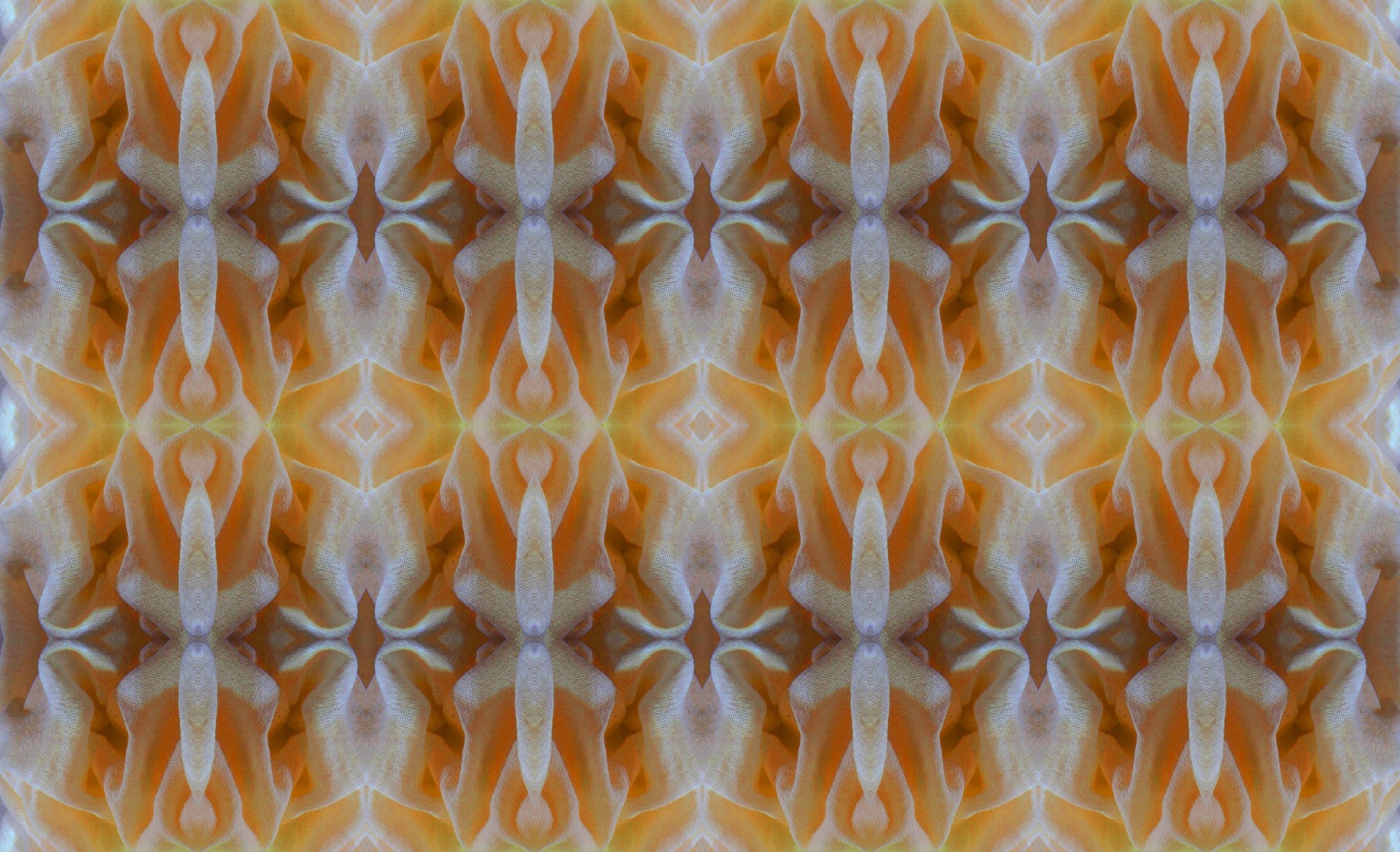 pattern folds luminous free photo