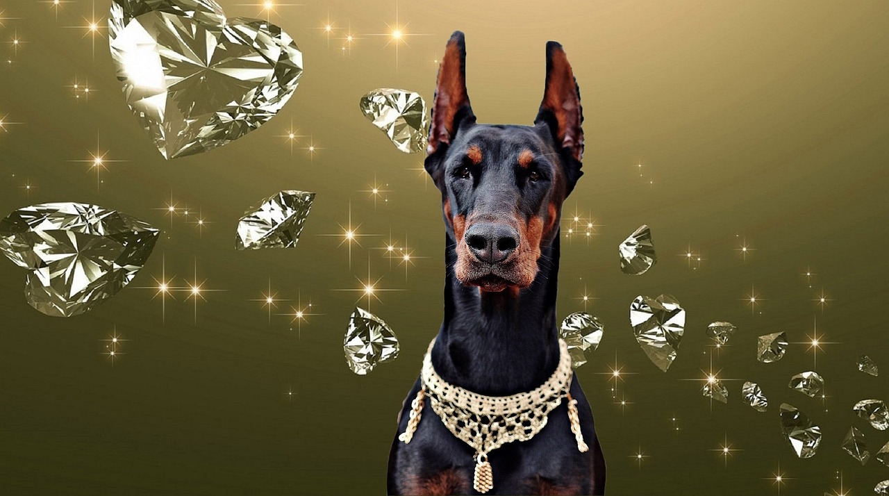 doberman dog diamond free photo