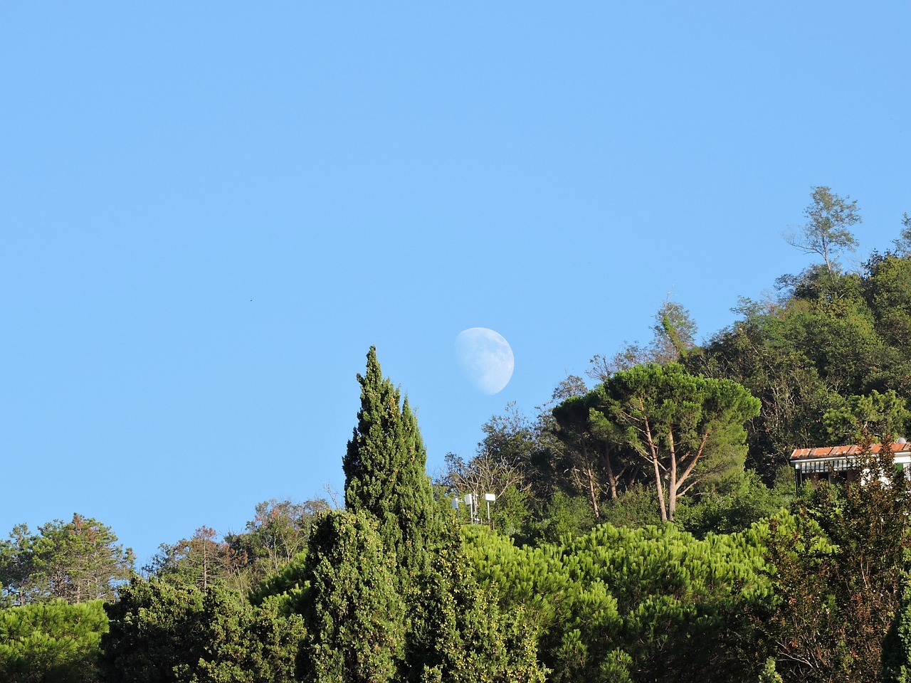 luna mountain trees free photo