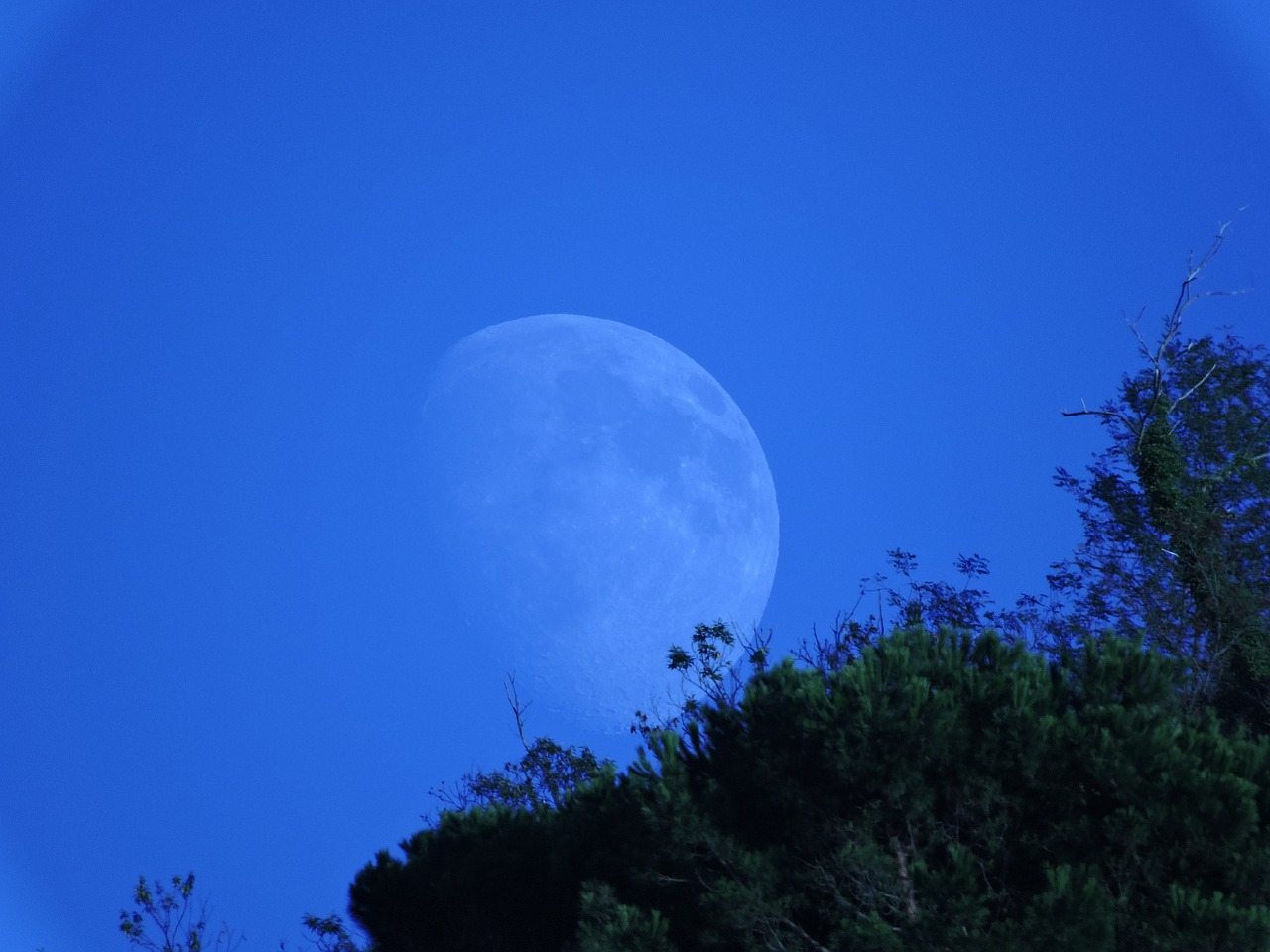 luna mountain trees free photo