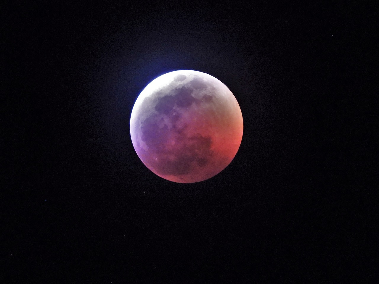 lunar  eclipse  moon free photo
