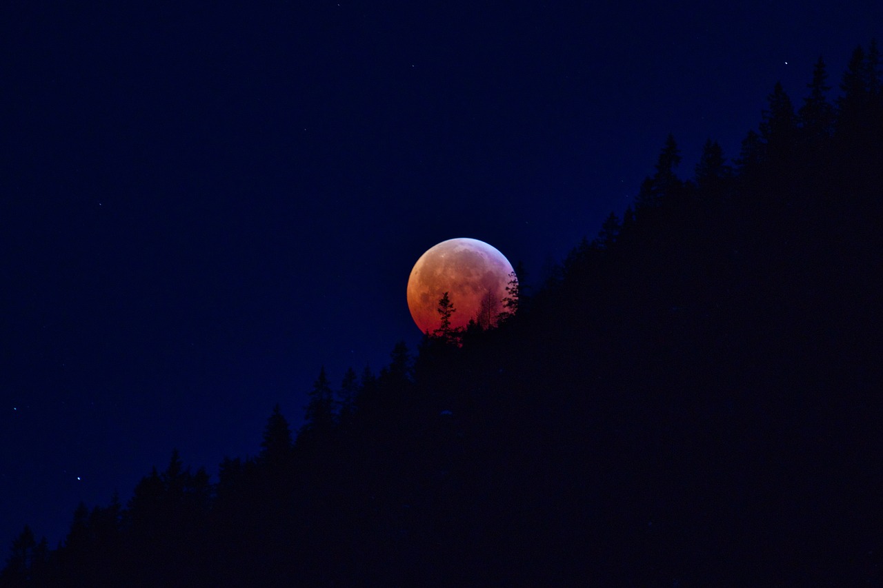 lunar eclipse  super moon  blood moon free photo