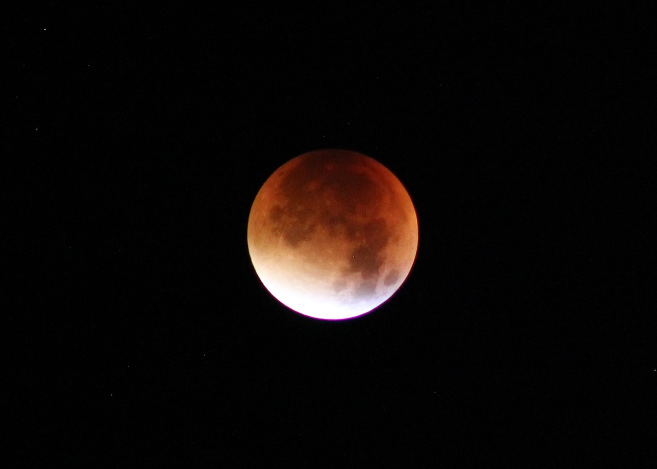 lunar eclipse moon night free photo