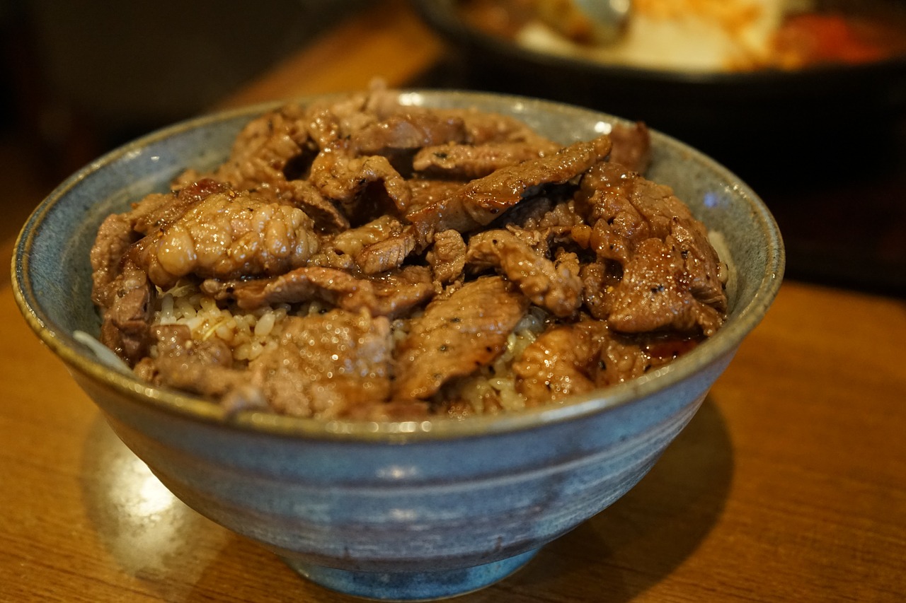 lunch rice bowl meat free photo