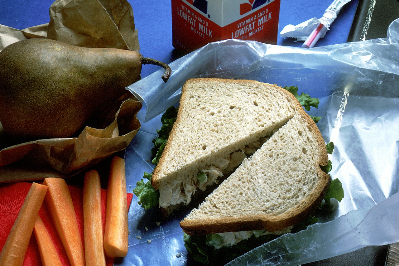lunch chicken salad sandwich bread free photo