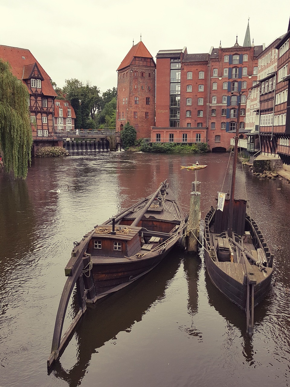 lüneburg stint red roses free photo