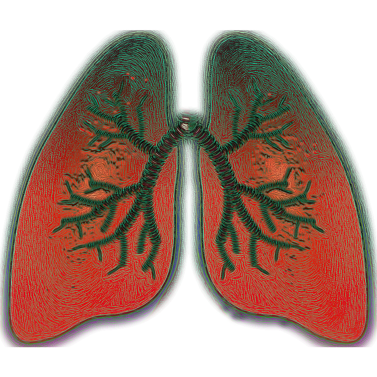 lung  breathing  asthma free photo