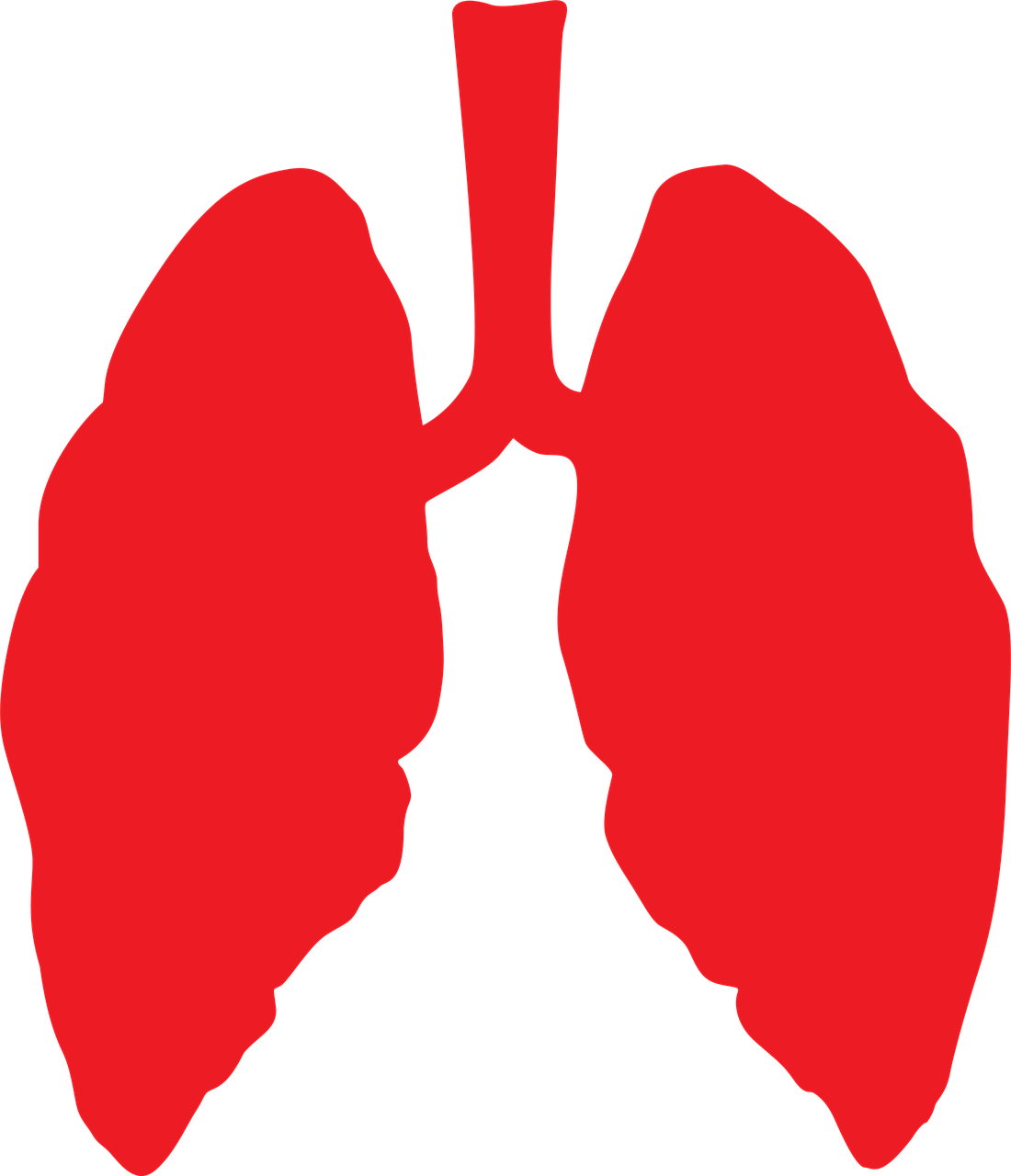 lungs  lung  health free photo