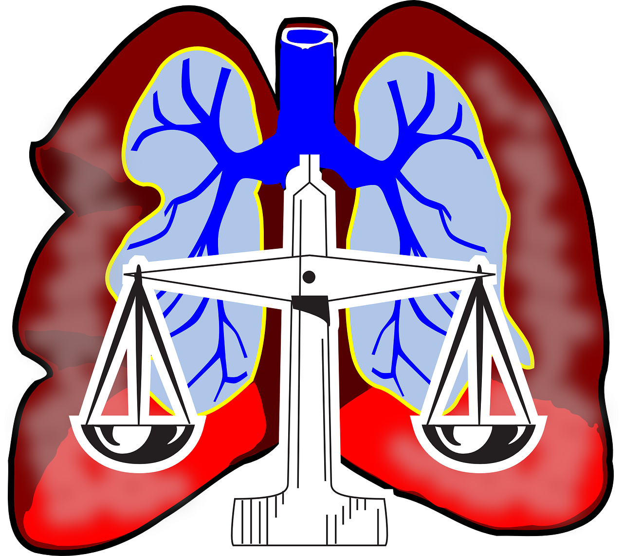 lungs diagram air free photo