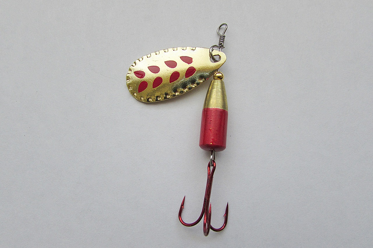 lures blinker predator bait free photo