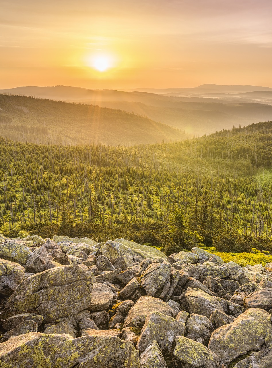 lusen  sunrise  landscape free photo