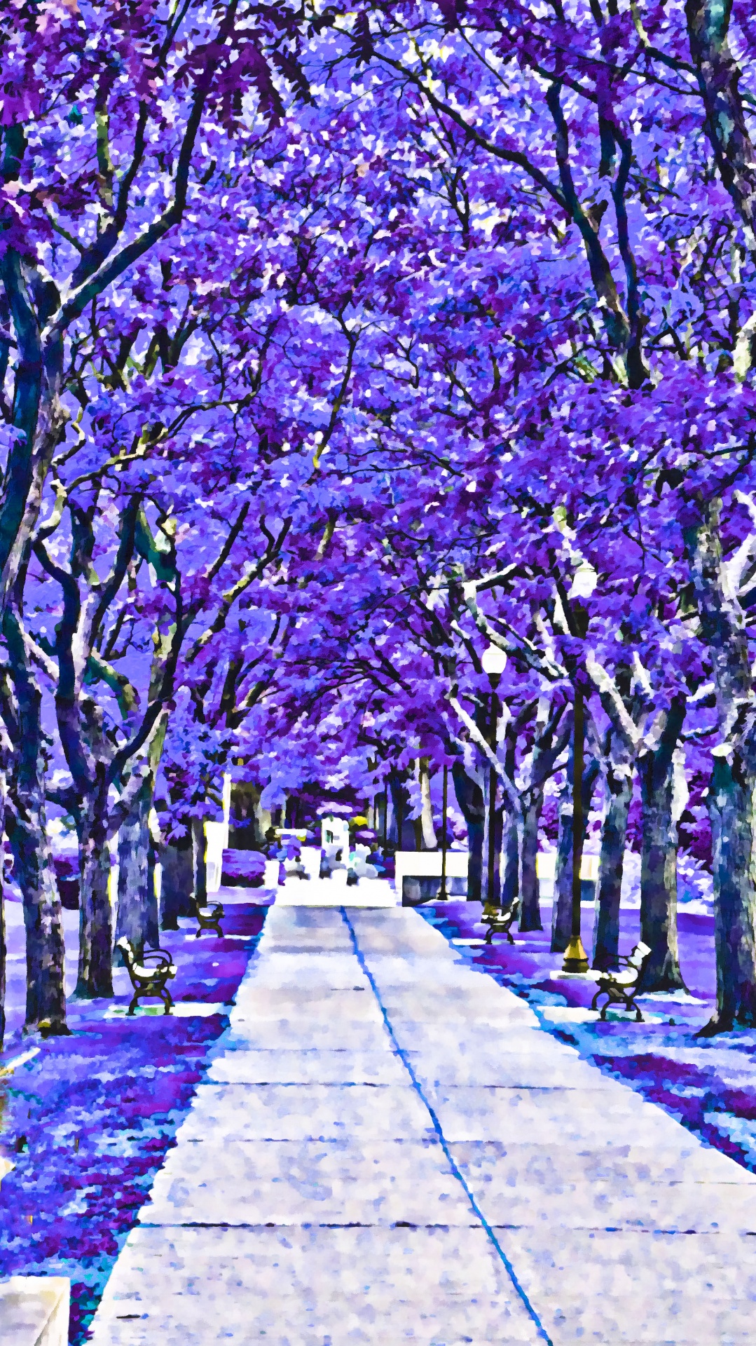 tree trees purple free photo